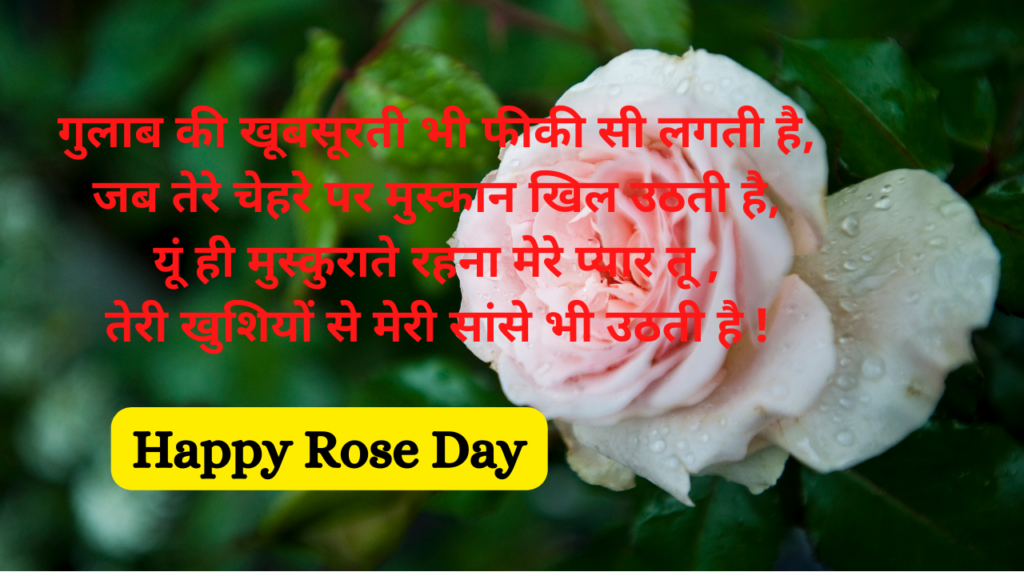 happy rose day 2022
