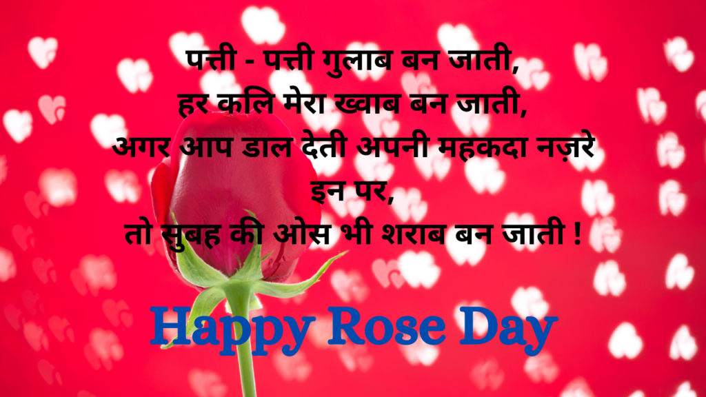 shayari happy rose day