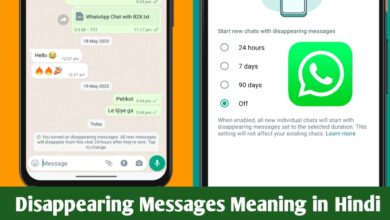 meaning of disappearing messages in whatsapp in hindi