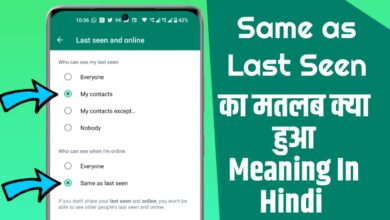 Same as Last Seen Meaning in Hindi