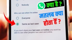 WhatsApp Mein Same as Last Seen Ka Matlab Kya Hota Hai, Who Can See When I am Online on WhatsApp