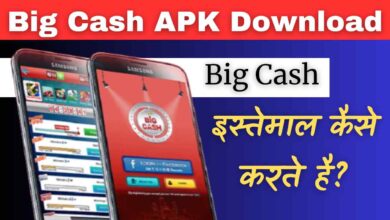 Big Cash Download Apk