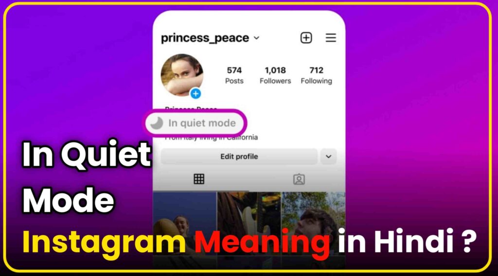 In Quiet Mode Instagram Meaning in Hindi