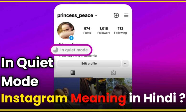 In Quiet Mode Instagram Meaning in Hindi